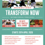 Transform Now with Dominique and Blessed Yoga
